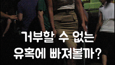 성남국빈관나이트: 한 번 방문하면 잊을 수 없는 특별한 밤의 약속